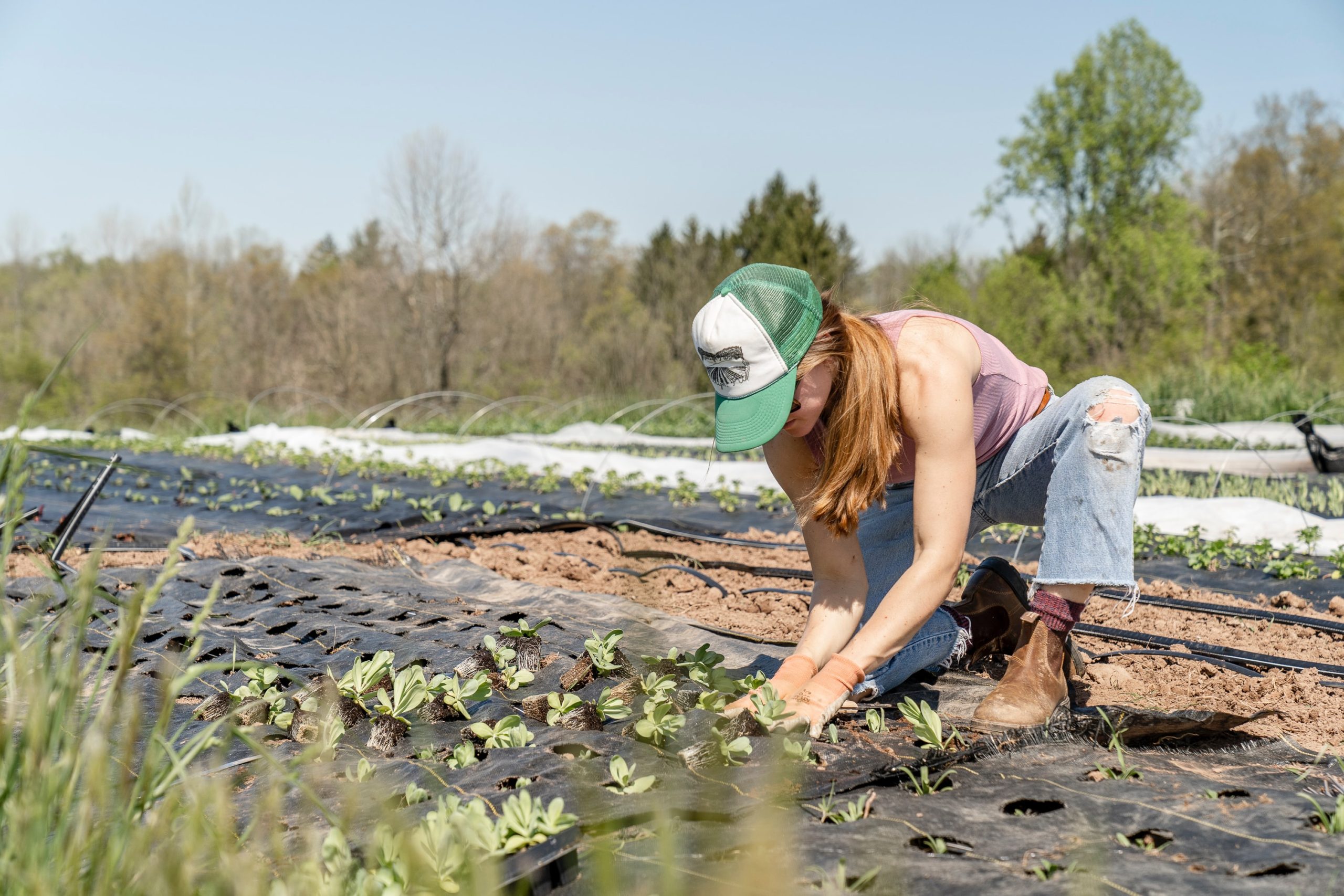 Photo of a woman kneeling down and working with young growth plants in a field on a farm.