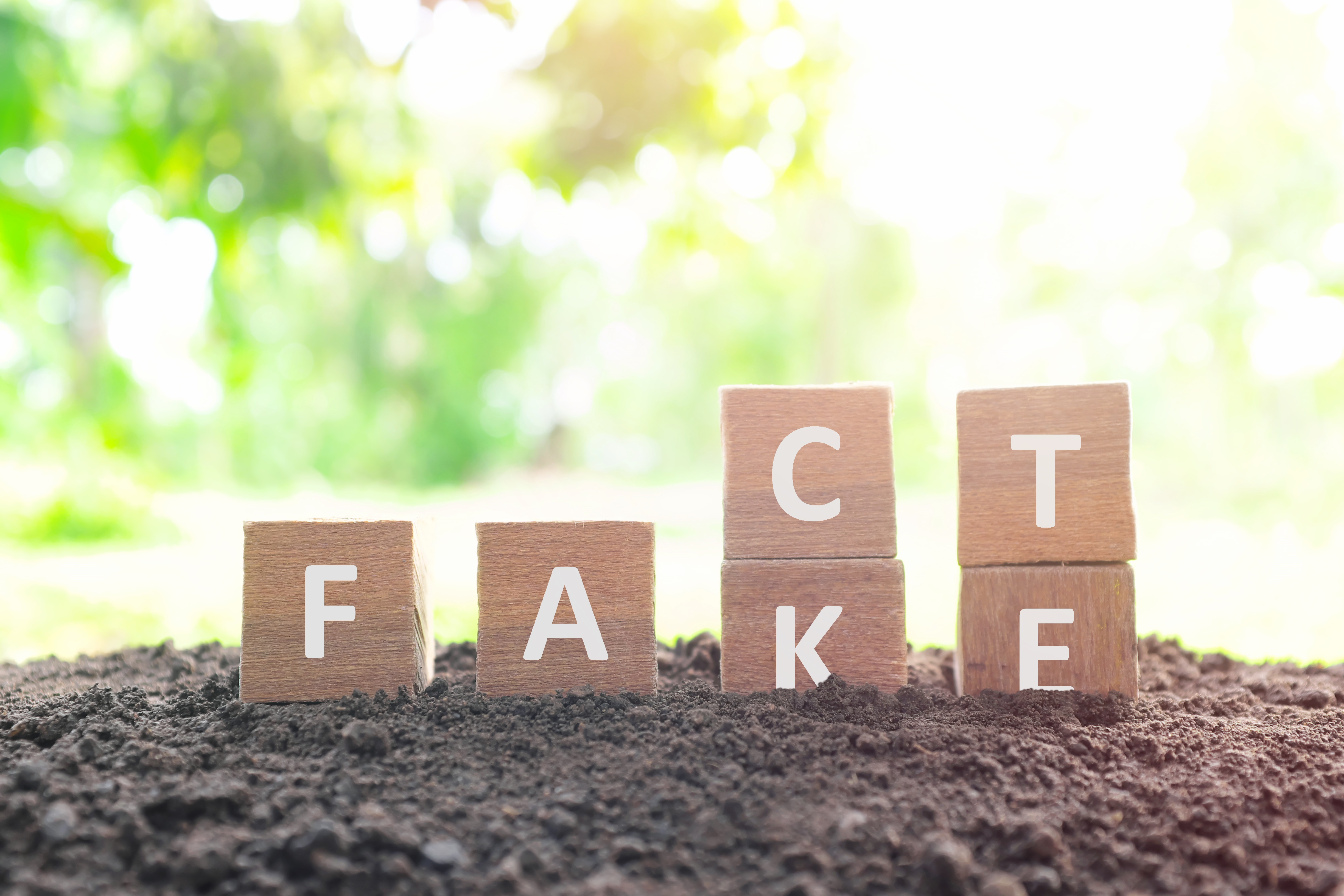 Photo of blocks that spell out "F-A-K-E" with blocks "C-T" over the "K-E" to spell "F-A-C-T"