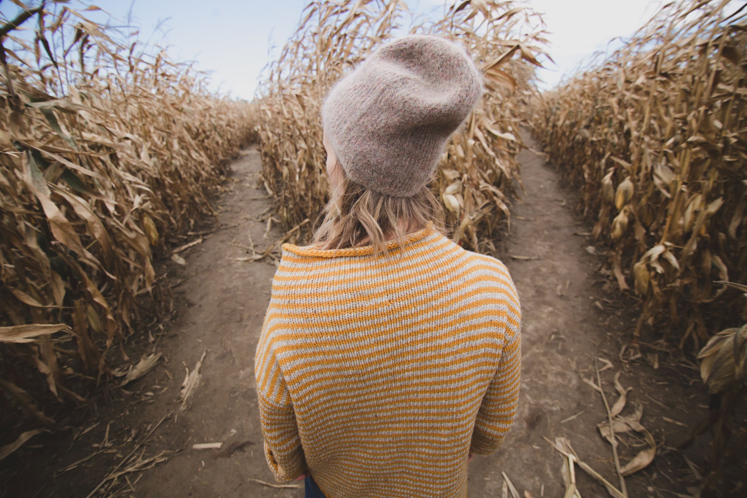 Photo of a woman in a corn field facing away from the camera and deciding which row to go down.