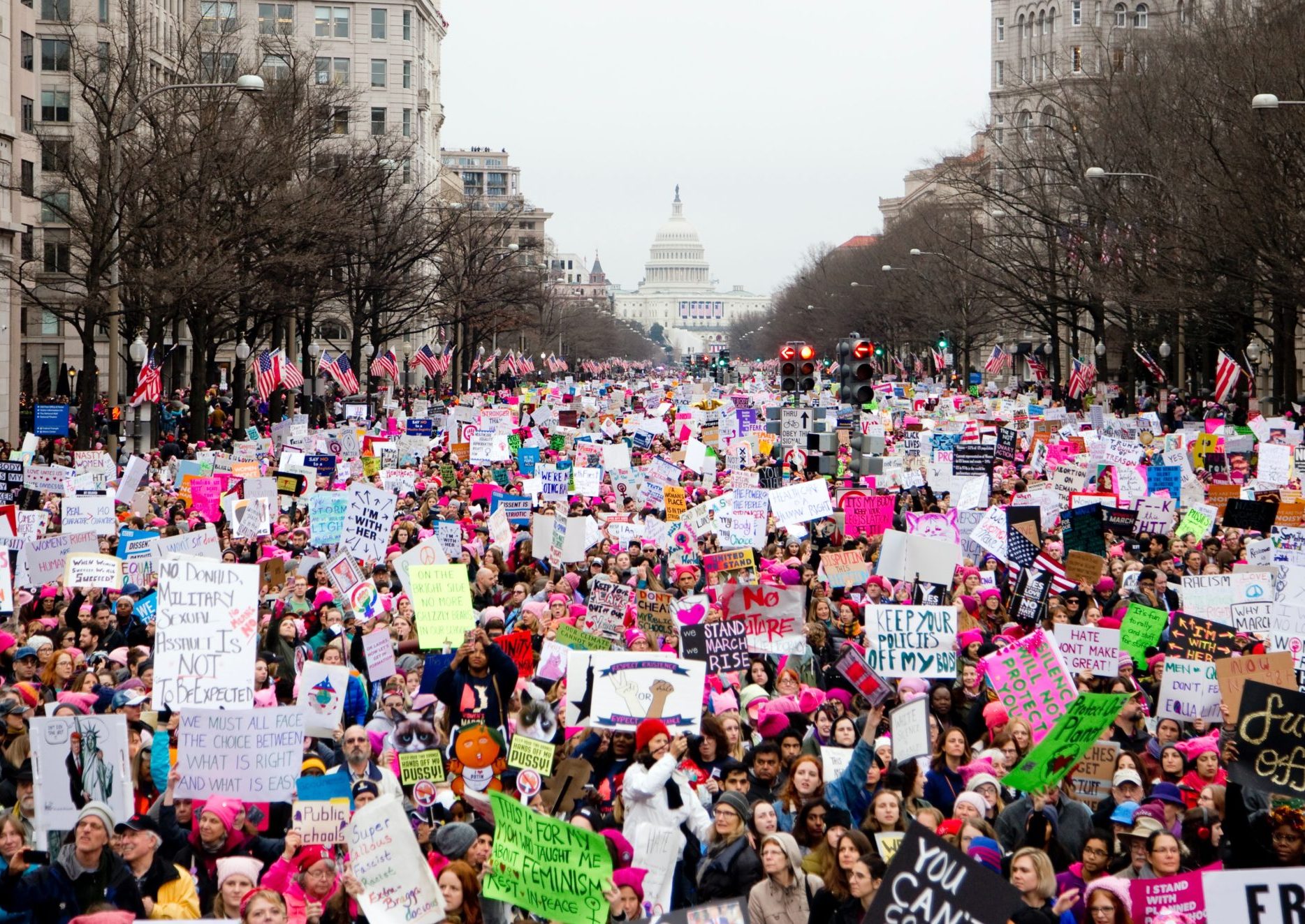 Photo of protest march at the US capitol building in the background and a crowd of people holding a variety of signs filling the street.